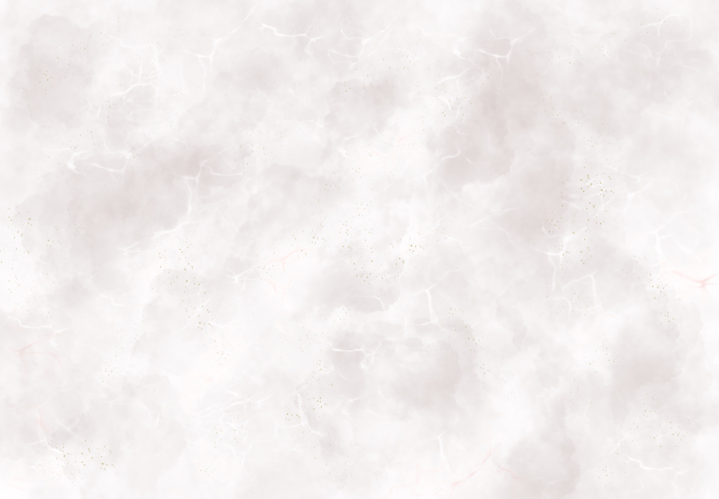 WEBサイト公開のお知らせ